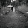 Island - July 2008